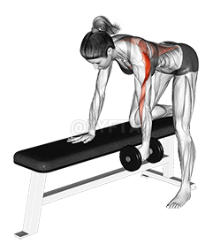 Remo con un brazo inclinado con mancuernas demonstration