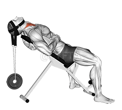Weighted Lying Neck Flexion demonstration