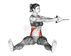 Band seated twist demonstration