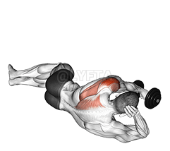 Dumbbell Lying on Floor Rear Delt Raise demonstration