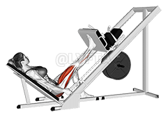 Sled 45 degrees One Leg Press demonstration