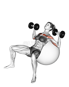 Dumbbell Incline Press on Exercise Ball demonstration