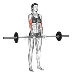 Curl con agarre cerrado de pie con barra demonstration