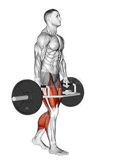 Trap Bar Farmers Carry demonstration