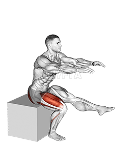 Sentadilla con pistola para boxear demonstration