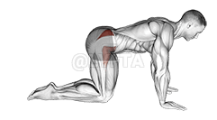 Bent Leg Side Kick demonstration