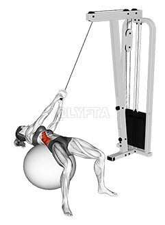 Cable Russian Twists demonstration