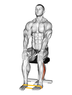 Внешнее вращение стопы с эспандером demonstration