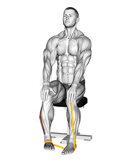 Эспандер для выворота стопы demonstration