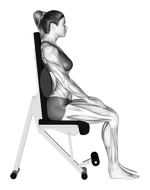 Static Position Seated Back with Pad demonstration