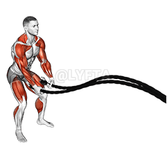 Battling Ropes Inside Circle demonstration