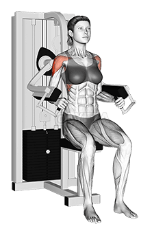 Lever Lateral Raise demonstration