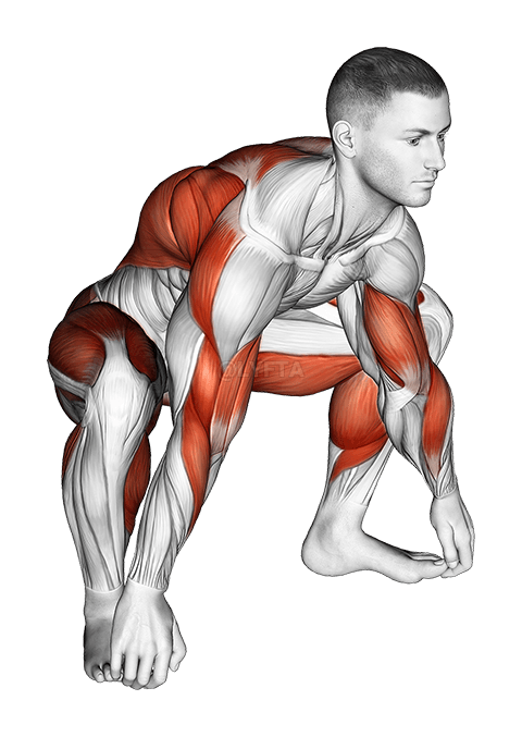 Estiramiento de movilidad de sumo sentado demonstration