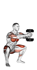 Dumbbell Press Squat demonstration