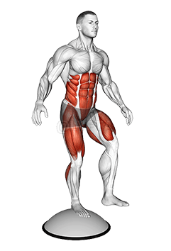 Стойка на одной ноге на мяче Bosu demonstration