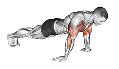 Odwrotne pompki demonstration