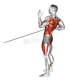 Band Squat with Single Arm Row demonstration
