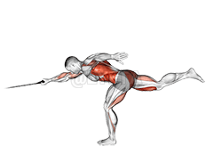 Band Single Stiff Leg Deadlift with Single Arm Row demonstration