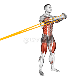 Приседания с эспандером и горизонтальным удержанием Паллофа demonstration