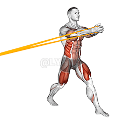 Сплит-приседания с эспандером и горизонтальным удержанием Паллофа demonstration