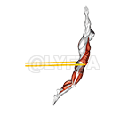 Прыжок в длину с эспандером сопротивления demonstration