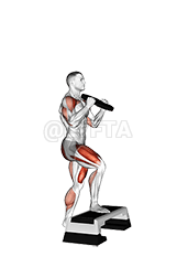 Weighted Overhead Press Step Up demonstration