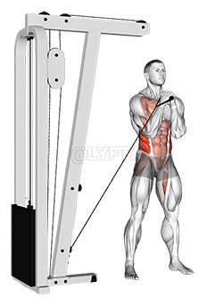 Cable horizontal Pallof Press demonstration