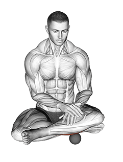 Roll Ball Peroneo demonstration