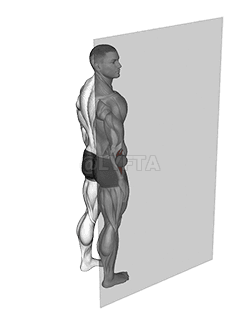 Roll Ball Onderarm Supinator demonstration
