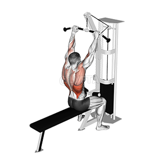 Cable Bar Lateral Pulldown demonstration