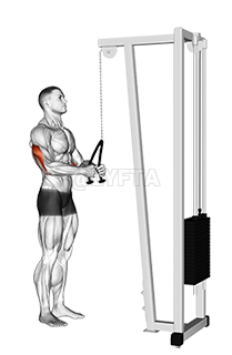 Cable Pushdown demonstration