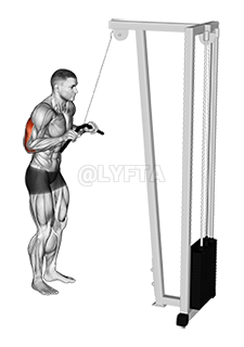 Cable Pushdown demonstration