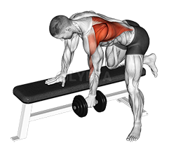 Dumbbell One Arm Bent-over Row demonstration