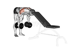 Thumbnail for the video of exercise: Dumbbell Rear Lateral Raise