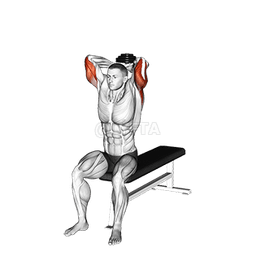 Seated Bench Extension