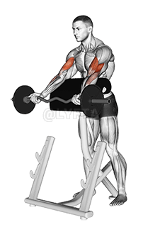 Thumbnail for the video of exercise: EZ Barbell Spider Curl