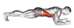 Front Plank