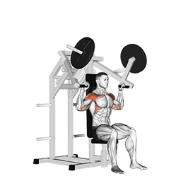 Lever Military Press
