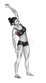 Slopes Towards Stretch demonstration