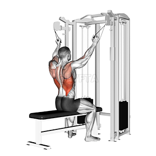 Twin handle parallel grip lat pulldown demonstration
