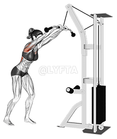 电缆直臂下拉 demonstration