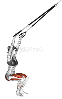 Thumbnail for the video of exercise: Suspension Squat