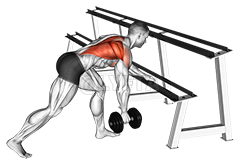 One Arm Row demonstration