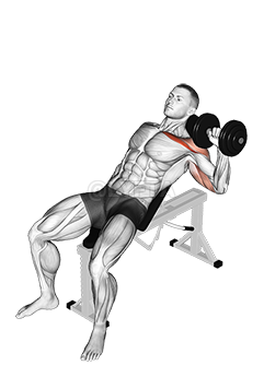 Dumbbell Incline One Arm Press demonstration