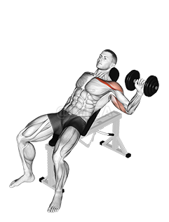 Dumbbell One Arm Incline Chest Press demonstration
