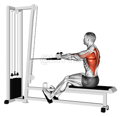 Rope Seated Row demonstration