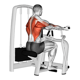 Thumbnail for the video of exercise: Lever Reverse Grip Vertical Row