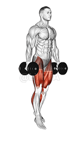Thumbnail for the video of exercise: Dumbbell Split Jump