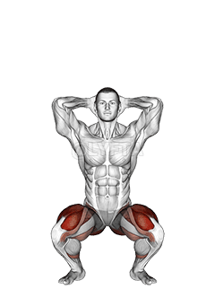 Thumbnail for the video of exercise: Prisoner Squat