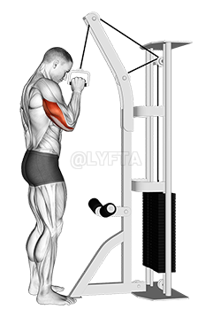 Cable One Arm Tricep Pushdown demonstration